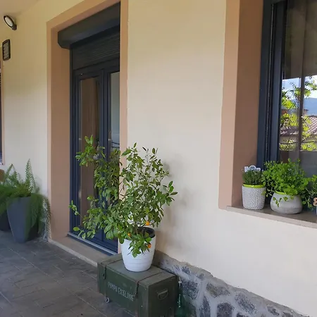 With Terrace Nona Pavla トールミン