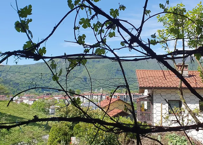 With Terrace Nona Pavla 公寓 *