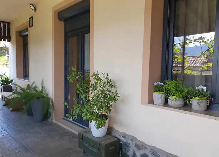 With Terrace Nona Pavla 托尔明